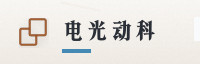 合作伙伴