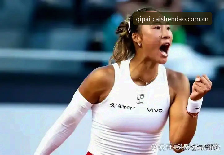 2026法网女单抽签：中国金花命运多舛，郑钦文保分压力与突围之路深度分析